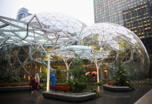 Компанія Amazon відкрила райський офіс